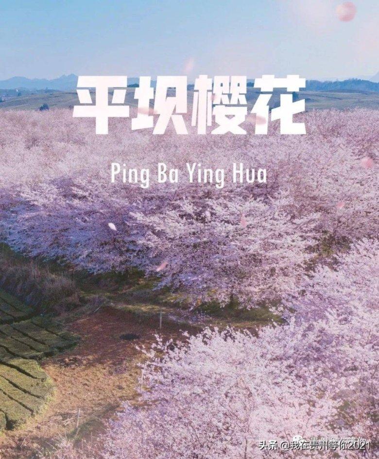 剖腹产以后再怀孕能自然分娩吗？该注意什么？游戏画面