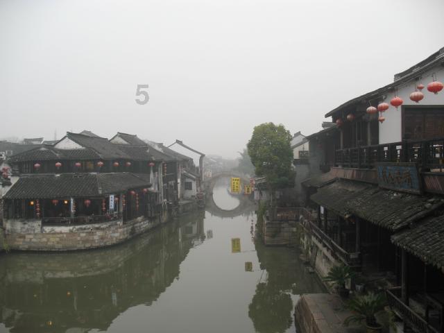 保证狗狗耳朵清洁，还能有效预防狗狗耳科疾病，狗狗耳道多久清理一次好？
